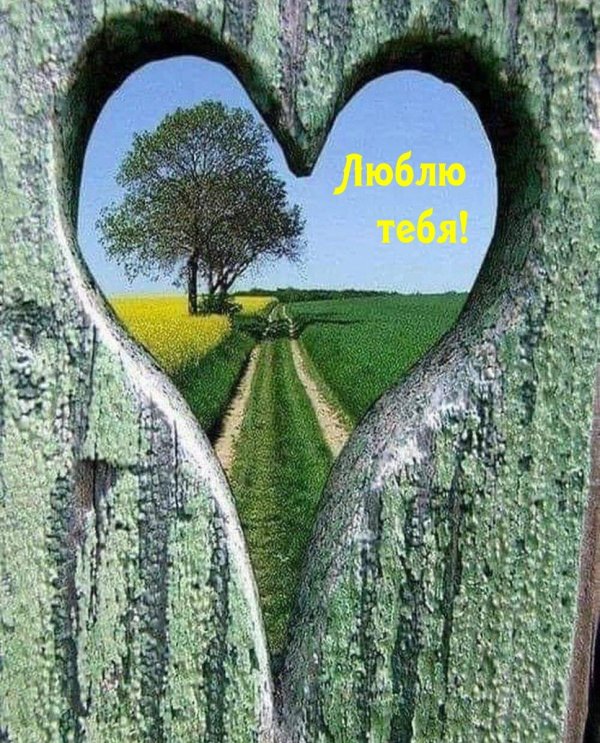 природа красота