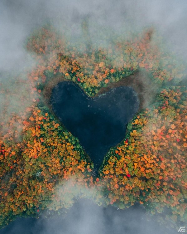 озеро сердце онтарио