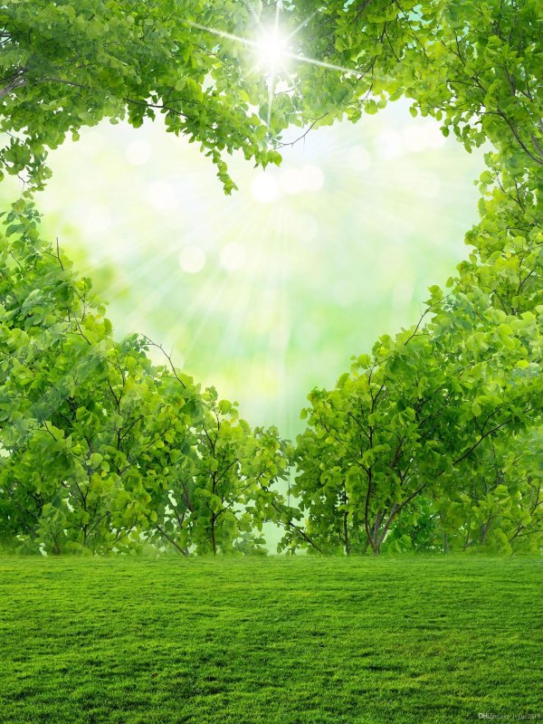 любовь природа