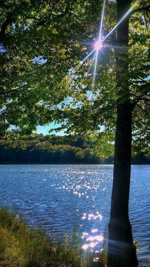 красивые картинки природы