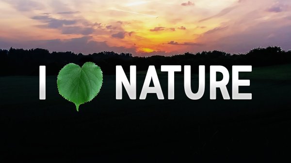 i love nature