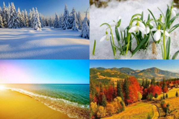 вpемена года