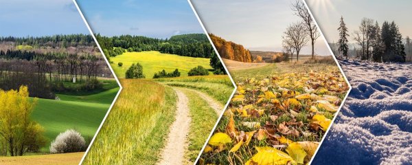 сезоны природы