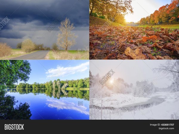 лето зима весна осень