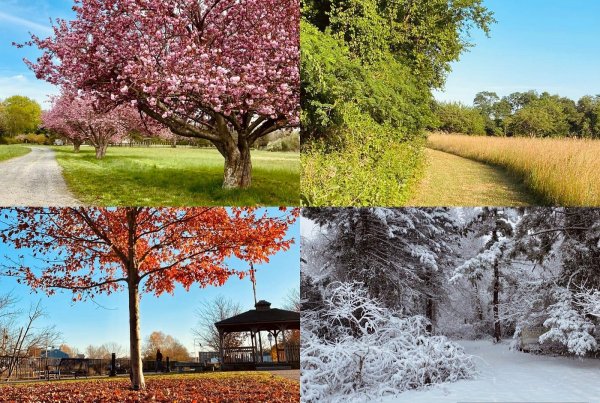 nature for all seasons