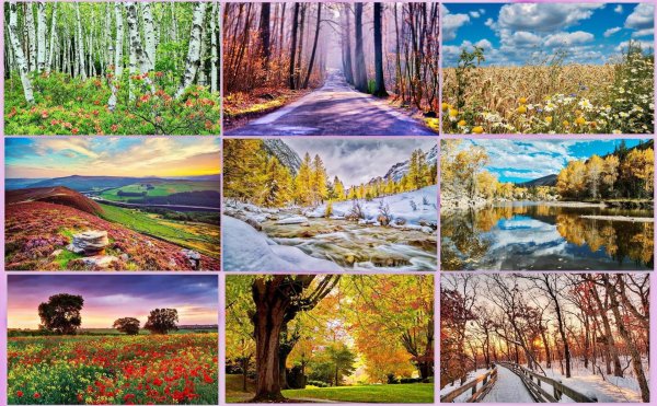природа коллаж