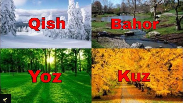 psixologik testlar 2021