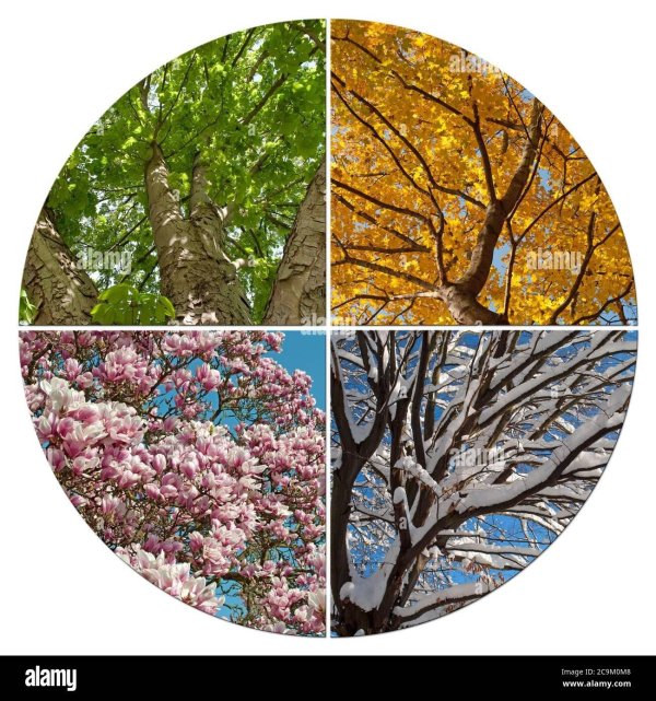 весна зима лето осень