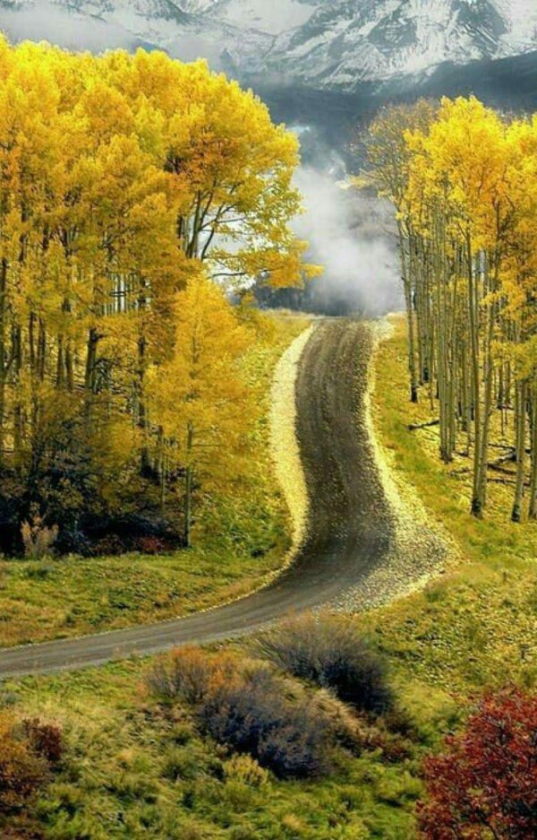 осенняя дорога