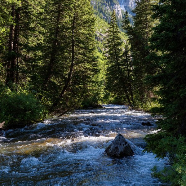 горная река