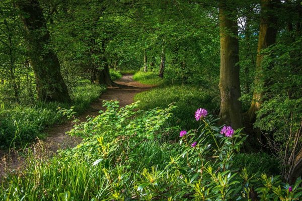 loch lomond and the trossachs national park