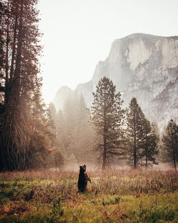 йосемити национальный парк