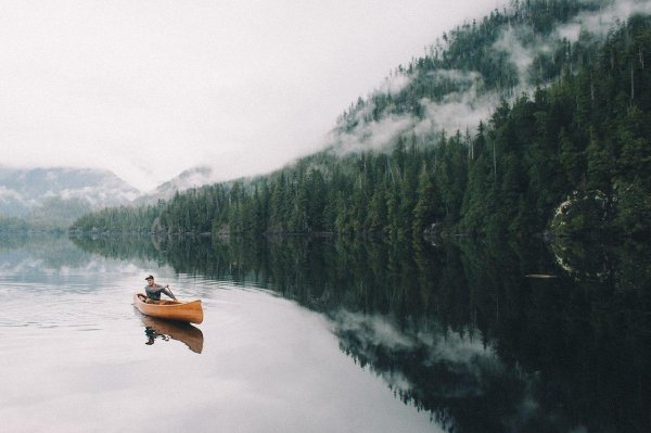плыви по течению