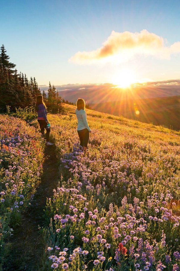 mt rainier national park
