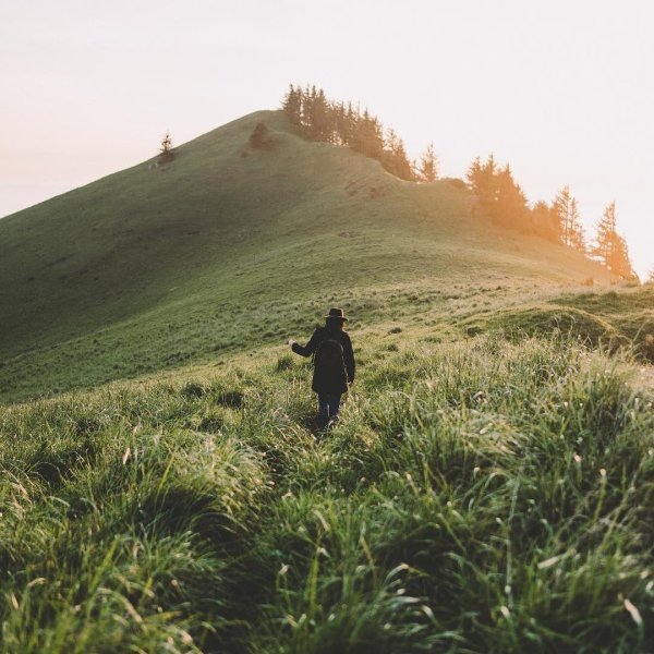 живописные пейзажи