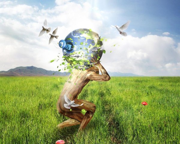 взаимодействие человека и природы