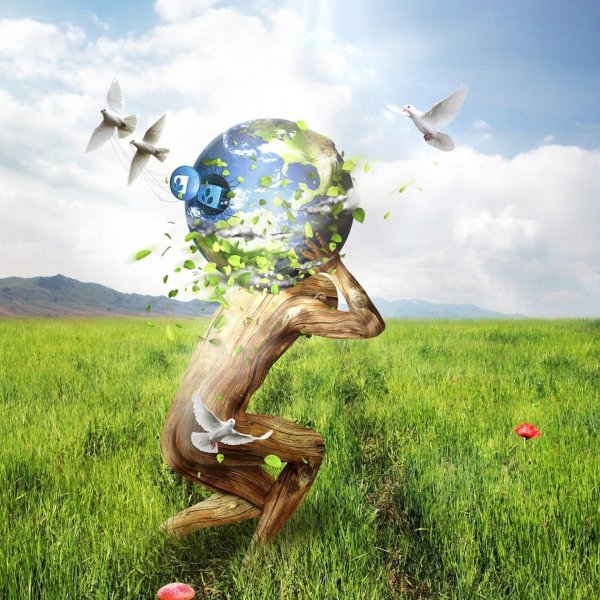 гармония человека и природы