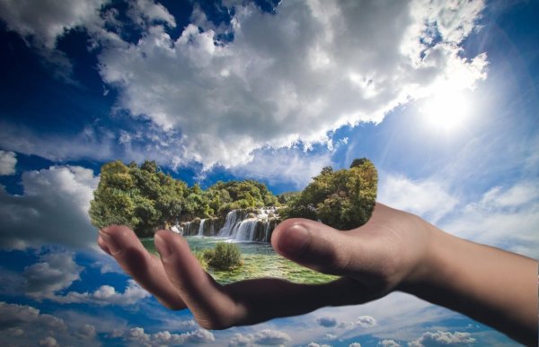 источник воды живой