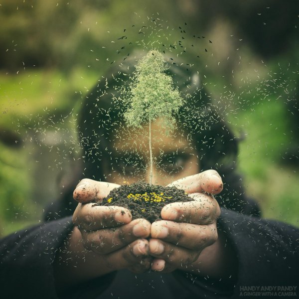 мир философии