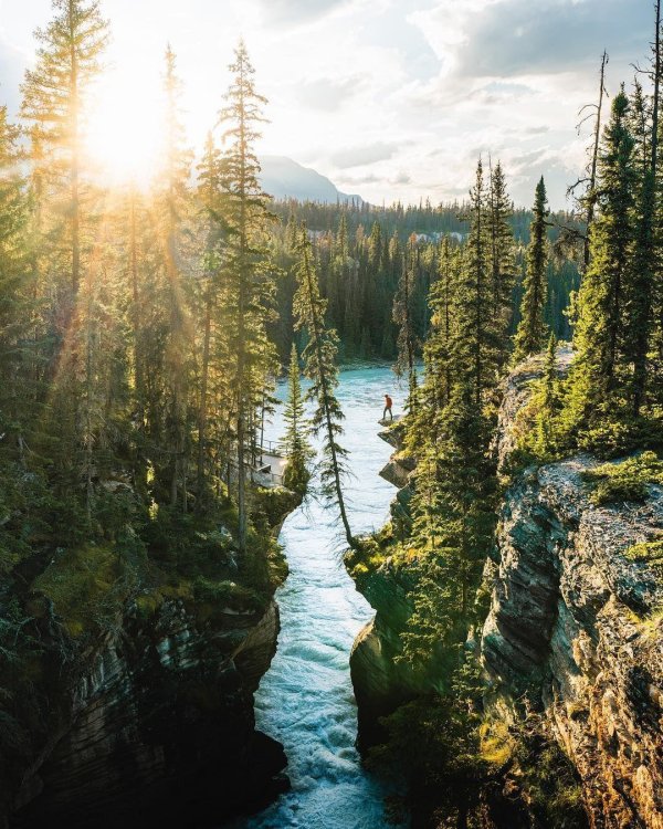 приключения на природе