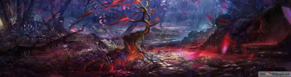 магический лес