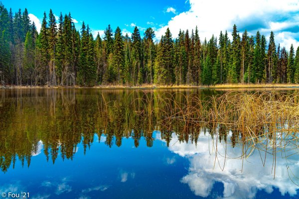 природа озера