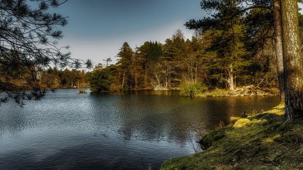 пайн ривер река