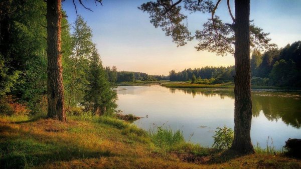 река молога пестово