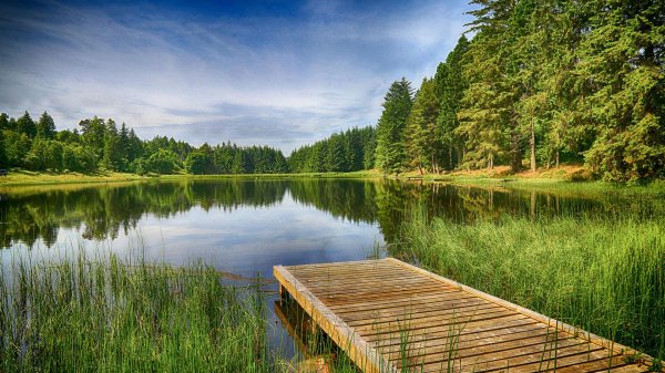 мостик на озере