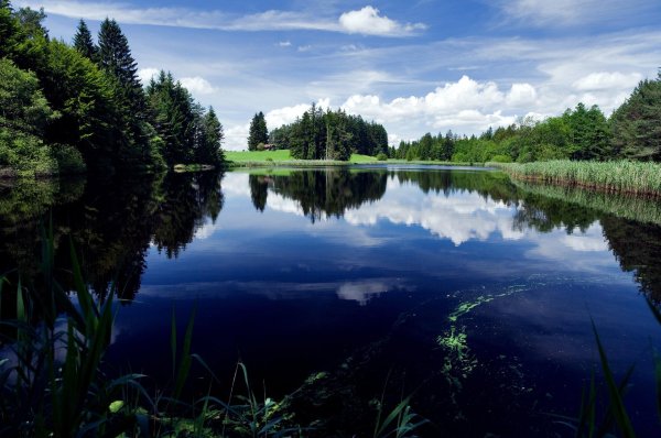 озеро нестеровское тосненский район