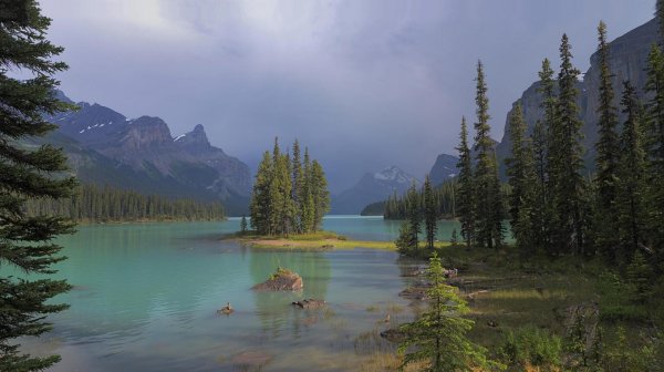 национальный парк джаспер альберта канада
