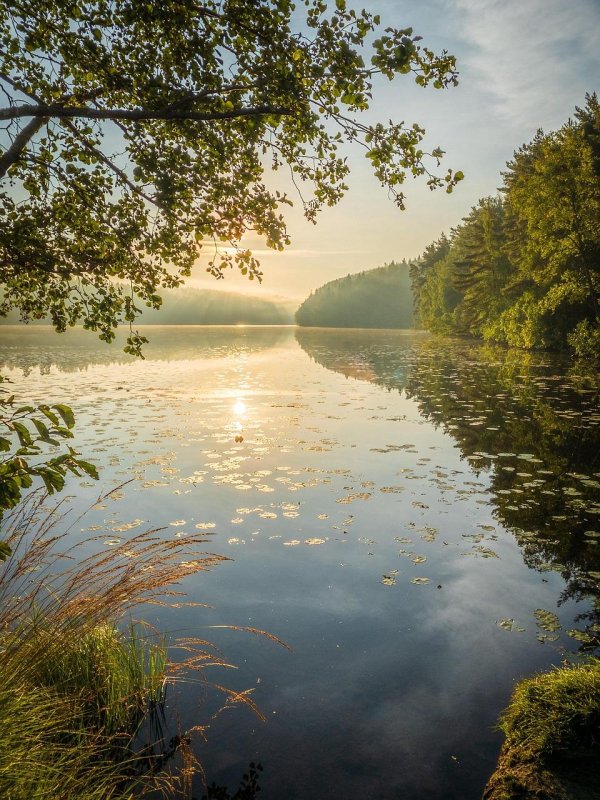 пейзаж у озера