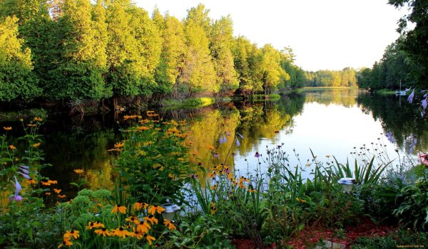 лес с озером