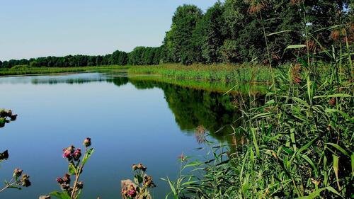 иванозеро тульской