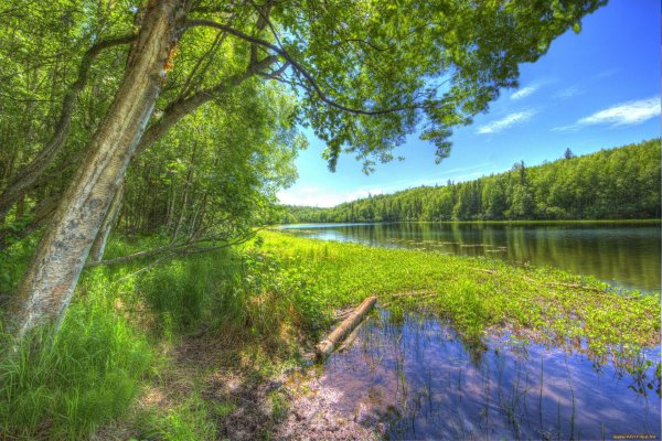 природа река