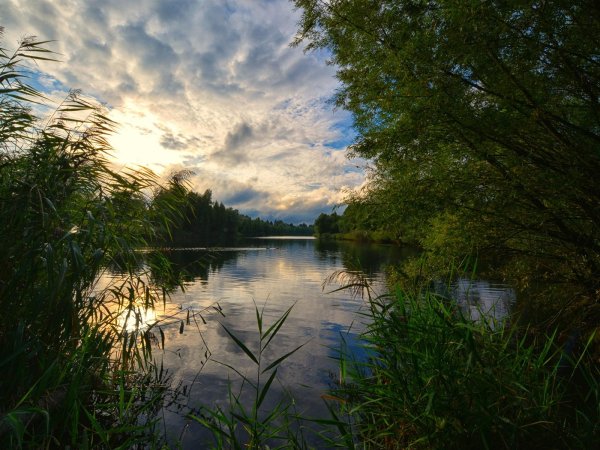 тихая заводь реки