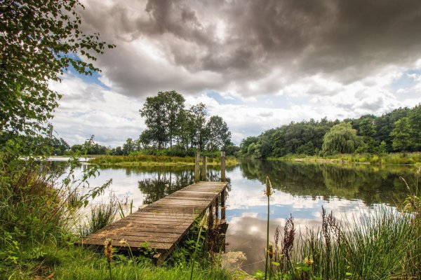 прудик речка мостикдеревня
