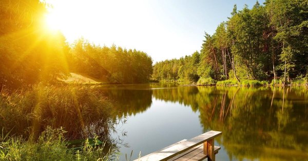 летние пейзажи