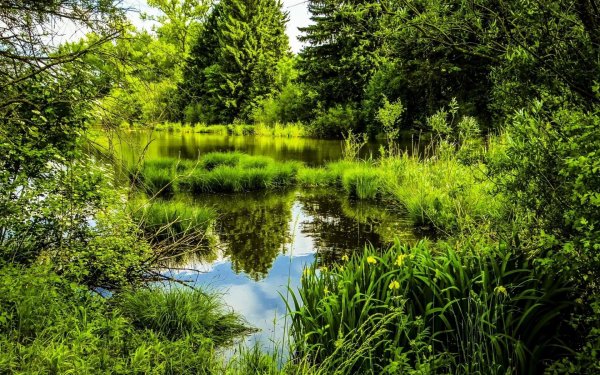 река усманка липецкая область