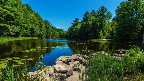 природа река