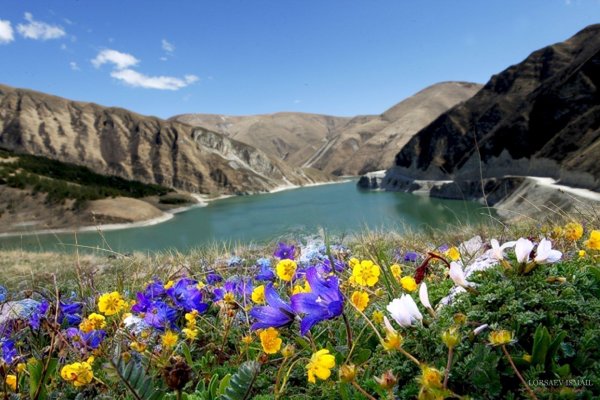 природа чеченской республики