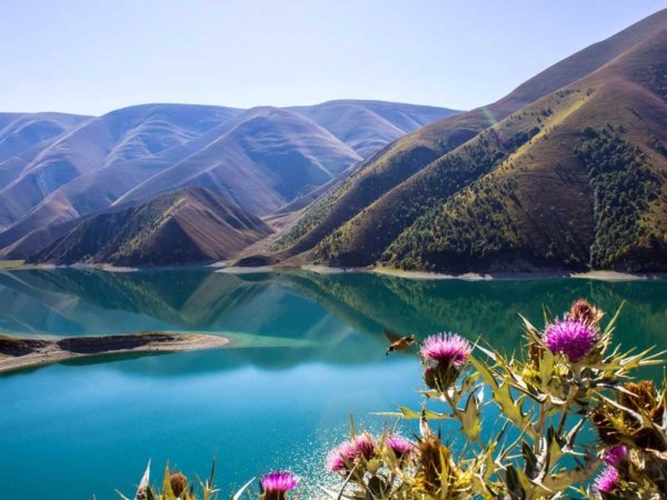 озеро кезенойам республика чечня