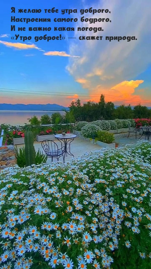 доброго утра с природой