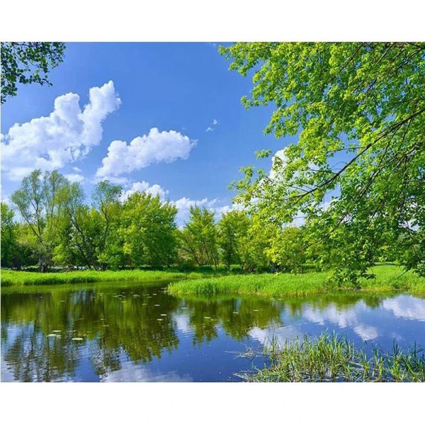 алмазная мозаика 40 х 50