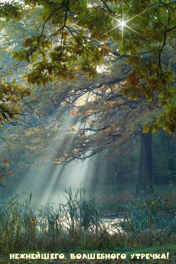 лучами солнца