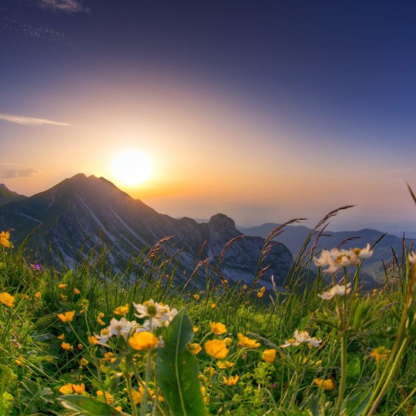 альпийские луга словакия