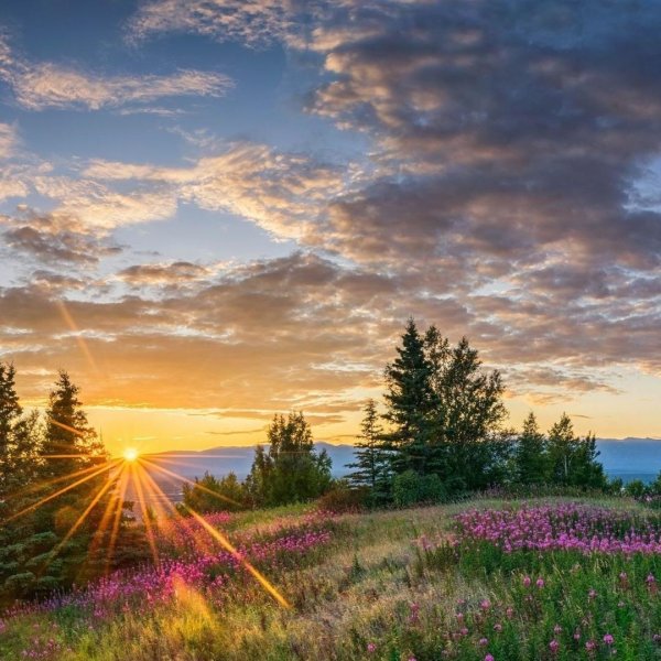 рассвет красивый