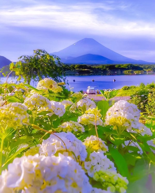 великолепие природы