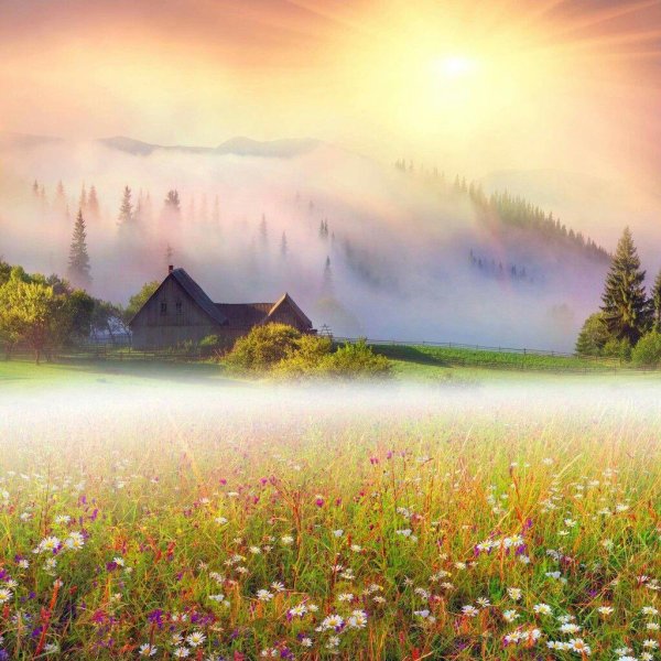 утренние пейзажи