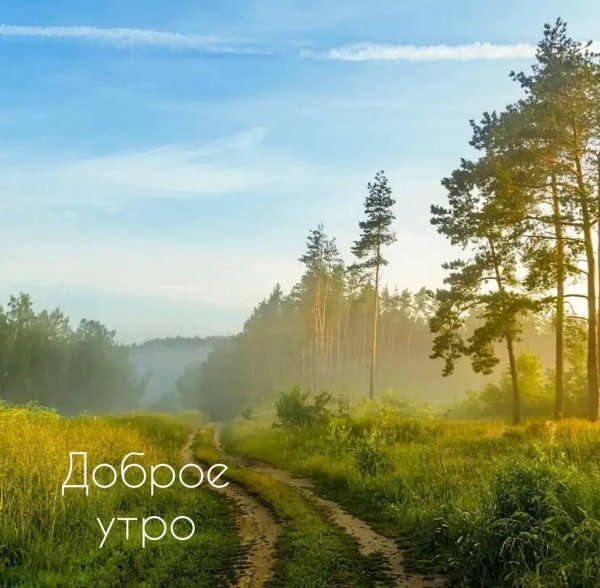 утро пейзаж